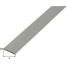 Oțel plat cu dimensiuni