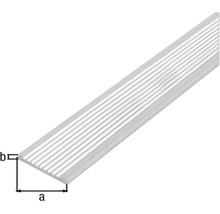 Profil de margine a scărilor din aluminiu cu dimensiuni