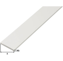 Șipcă din plastic cu dimensiuni