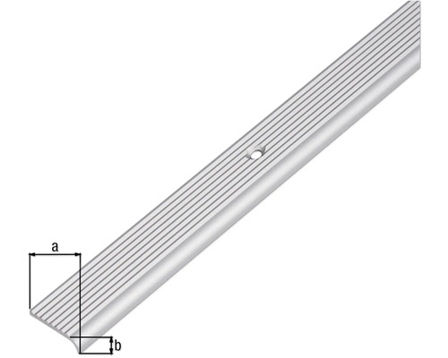 Profil margine scară cu găuri pentru șuruburi
