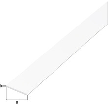 Șipcă plată din plastic cu dimensiuni