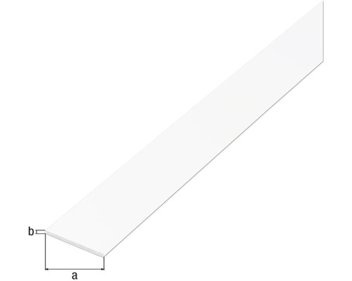 Șipcă plată din plastic cu dimensiuni