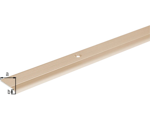 Profil pentru marginea scărilor din metal cu orificiu de montare și dimensiunile a și b