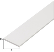 Profil din plastic alb cu dimensiunile a și b
