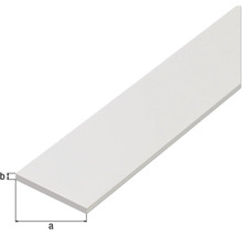 Șipcă din plastic cu dimensiunile a și b