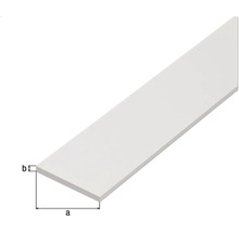 Șipcă din plastic cu dimensiuni