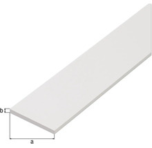 Șipcă plată din plastic cu dimensiuni