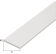 Șipcă din plastic cu dimensiuni
