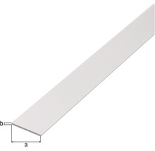 Profil plat din metal