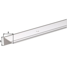 Profil din aluminiu pentru marginea treptelor cu dimensiunile a și b