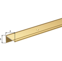 Profil pentru muchii de scări din aluminiu cu dimensiuni
