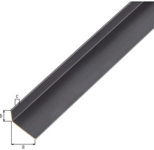 Cornier aluminiu Alberts 20x10x1 mm, lungime 1m, negru, eloxat-thumb-1
