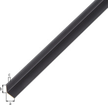 Cornier aluminiu Alberts 10x10x1 mm, lungime 2m, negru-thumb-1 Cornier aluminiu Alberts 10x10x1 mm, lungime 2m, negru-thumb-1