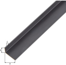 Cornier aluminiu Alberts 20x10x1 mm, lungime 2m, negru, eloxat-thumb-1