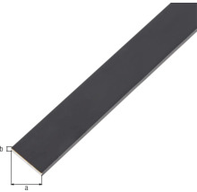 Oțel plat cu dimensiunile a și b.