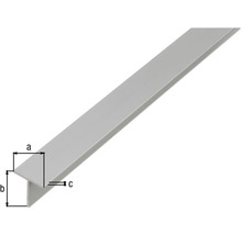 Profil T din aluminiu cu dimensiuni
