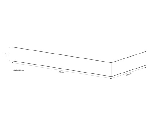 Desen tehnic al unui element de construcție cu dimensiunile 40 x 100 x 290 milimetri