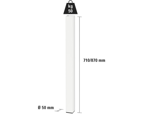 Desen tehnic al unui stâlp vertical cu dimensiunile 710/870 milimetri înălțime și 50 milimetri diametru, precum și cu mențiunea unei greutăți de 50 de kilograme.